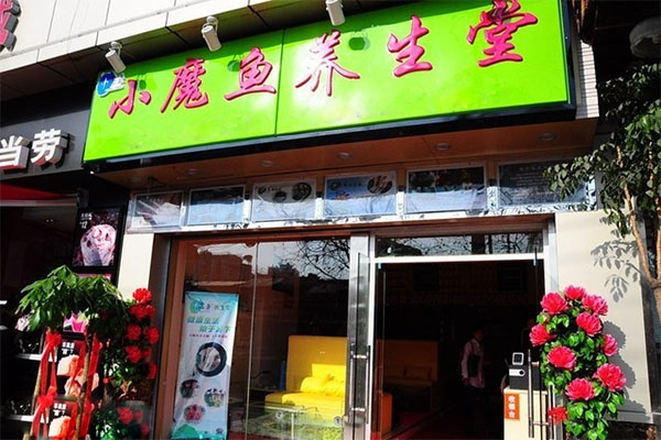 小魔鱼养生堂加盟费用