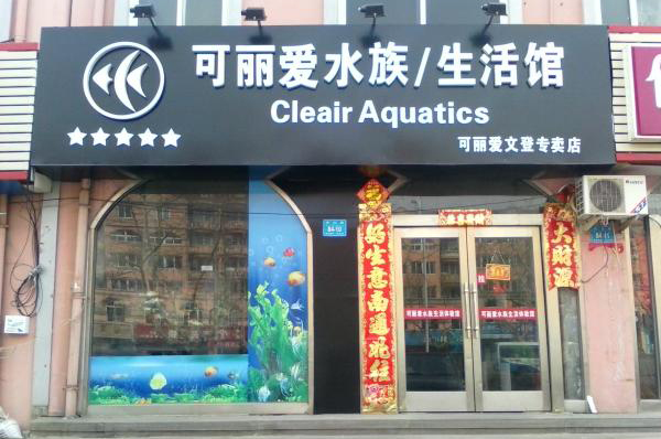 可丽爱水族加盟费用