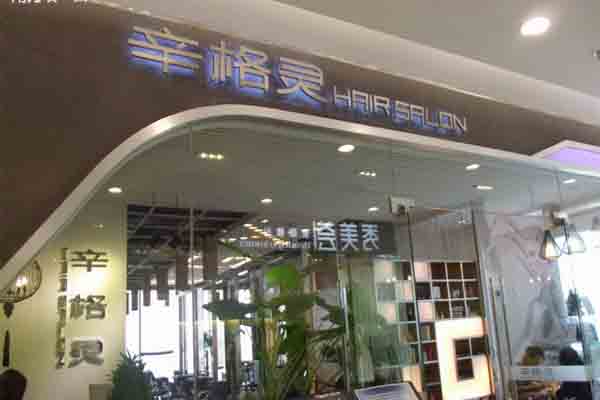 辛格灵形象设计加盟费用