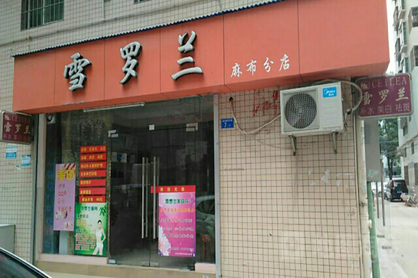 雪罗兰加盟费用