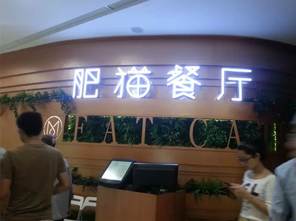 肥猫餐厅加盟费用