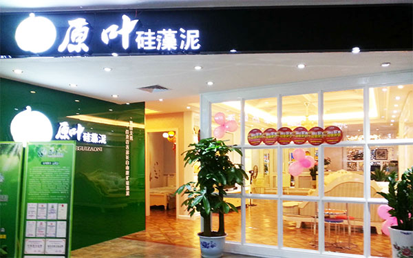 原叶硅藻泥加盟费用