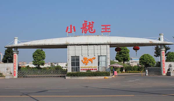 小龙王槟榔加盟费用