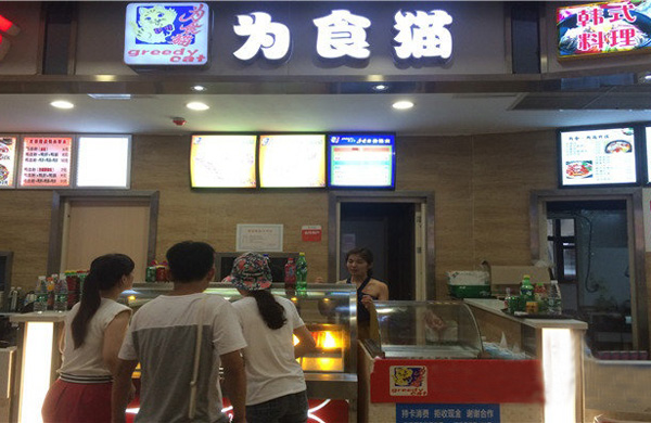 为食猫加盟费用