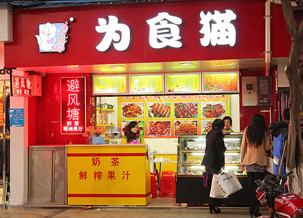 为食猫加盟费用