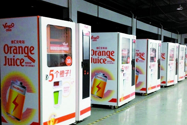 维果部落加盟费用