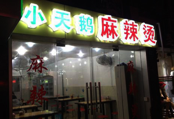 小天鹅麻辣烫加盟费用