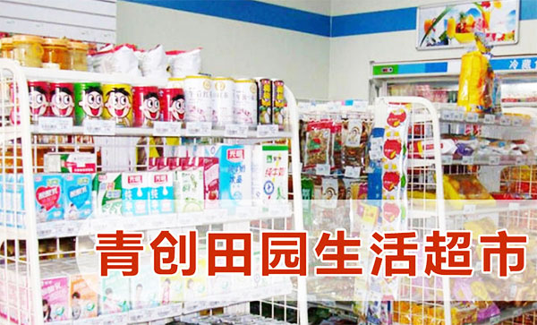 青创田园超市加盟费用