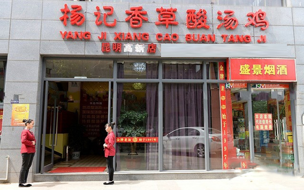 杨记香草酸汤鸡加盟费用