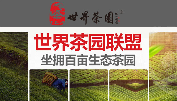 世界茶园加盟费用