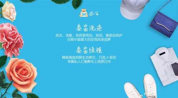 泰笛洗涤加盟费用