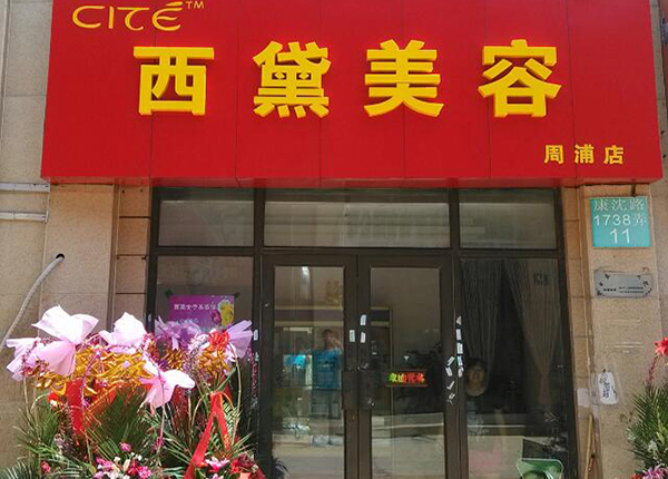 西黛美容院加盟费用