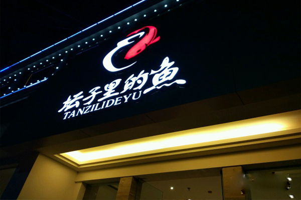 坛子里的鱼加盟费用