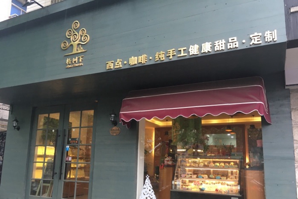 椿树下加盟费用