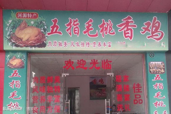 五指毛桃鸡加盟费用