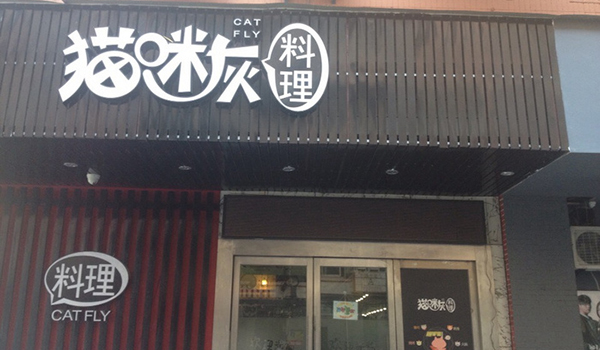 猫咪灰料理加盟费用
