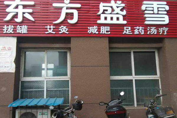 东方盛雪加盟费用