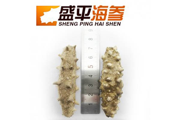 盛平海参加盟费用