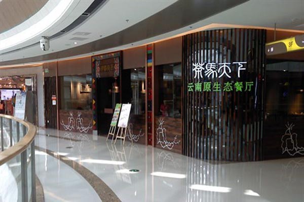 茶马天下加盟费用