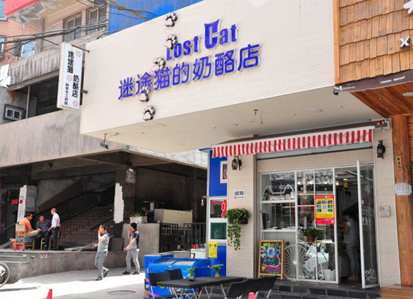 迷途猫的奶酪店加盟费用