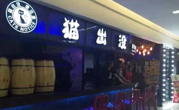 猫出没烤鱼加盟费用