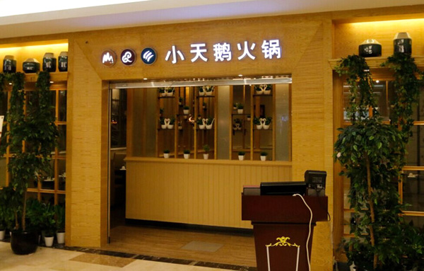 小天鹅火锅加盟费用