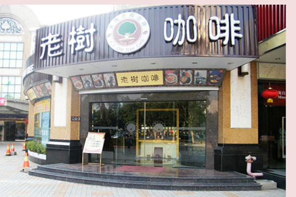 老树咖啡加盟费用
