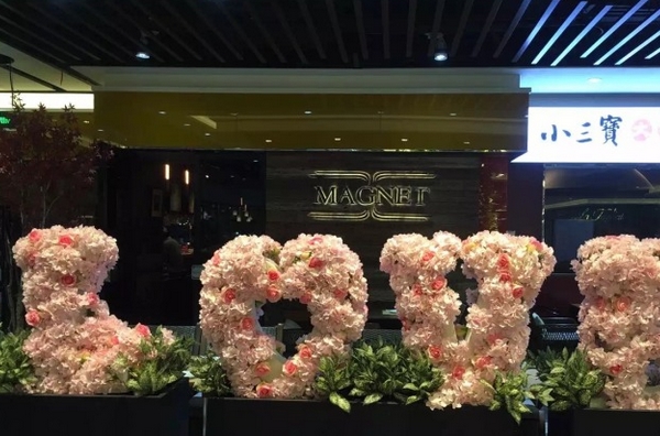Magnet磁石加盟费用