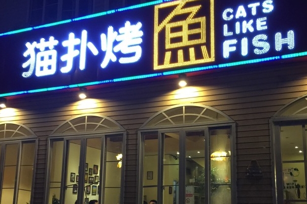 猫扑烤鱼加盟费用