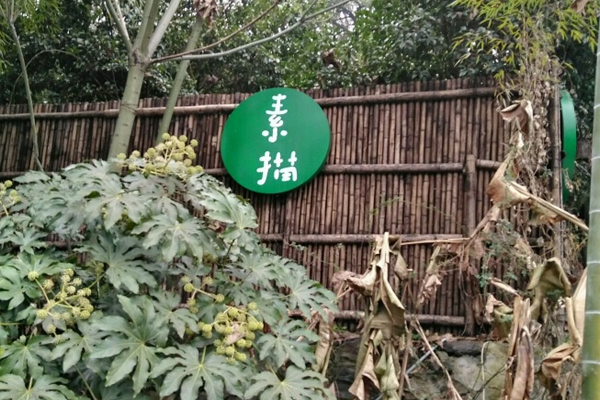 素描餐厅加盟费用