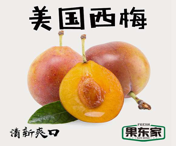 果东家加盟费用