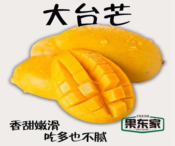 果东家加盟费用