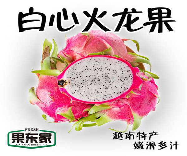 果东家加盟费用