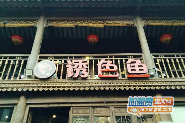 诱色鱼加盟费用