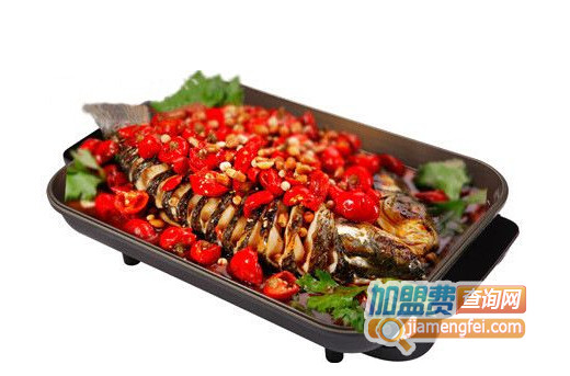 探鱼季加盟费用