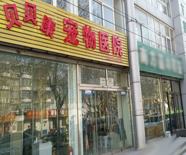 贝贝康宠物医院加盟费用