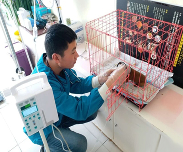 贝贝康宠物医院加盟费用