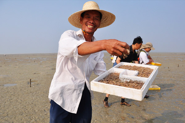 沙虫养殖加盟费用
