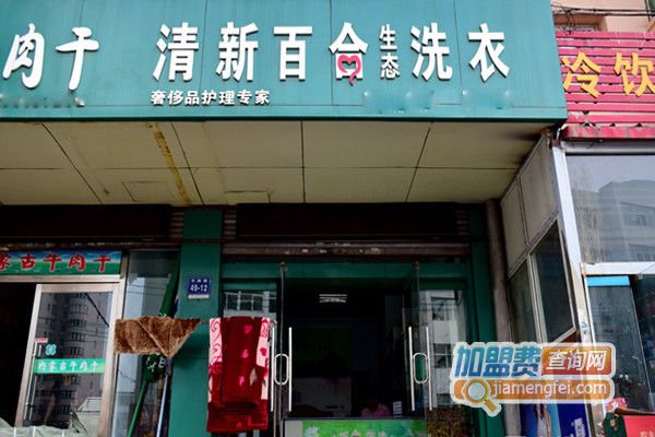清新百合生态洗衣加盟费用