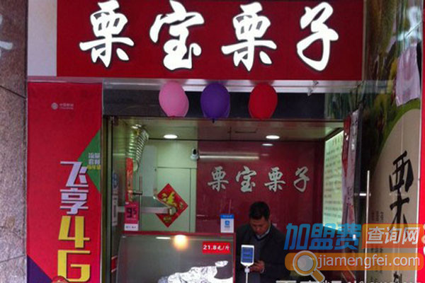 栗宝栗子加盟费用