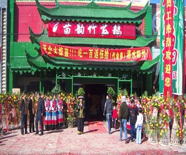 苗韵竹荪鹅加盟费用
