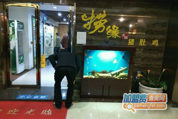 捞缘猪肚鸡火锅加盟费用