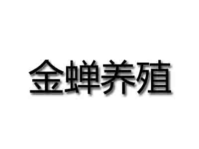 金蝉养殖加盟
