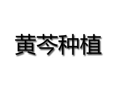 黄芩种植品牌LOGO