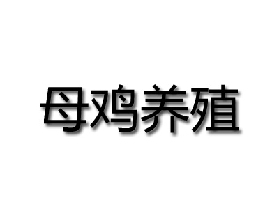 母鸡养殖品牌LOGO