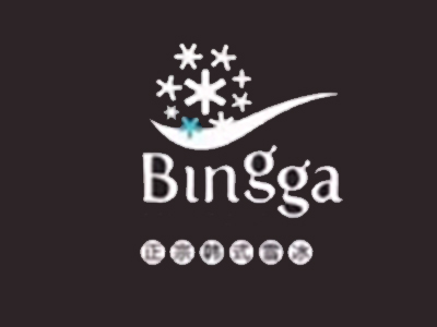 bingga冰家品牌LOGO