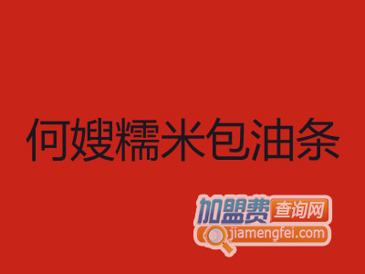 何嫂糯米包油条品牌LOGO