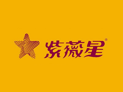 紫微星理疗仪品牌LOGO