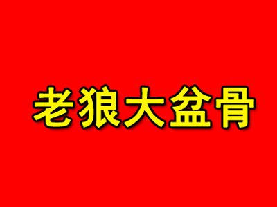 老狼大盆骨加盟费