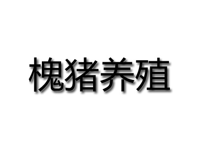 槐猪养殖品牌LOGO